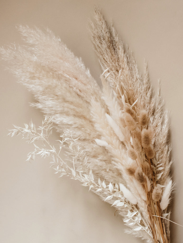 SHOKAN Pampasgras Groot 100cm/39inch, 10 Boeketten Gedroogd XXL, Natuurlijke Pluizige Droogbloemen voor Boho Deco Woonkamer Slaapkamer Bruiloft SHOKAN Pampasgras Groot 100cm/39inch, 10 Boeketten Gedroogd XXL, Natuurlijke Pluizige Droogbloemen voor Boho Deco Woonkamer Slaapkamer Bruiloft