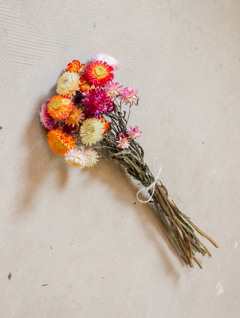 Gedroogde bos Helichrysum - Kleuren Mix - Droogbloemen