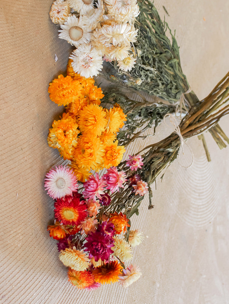 Gedroogde bos Helichrysum - Kleuren Mix - Droogbloemen