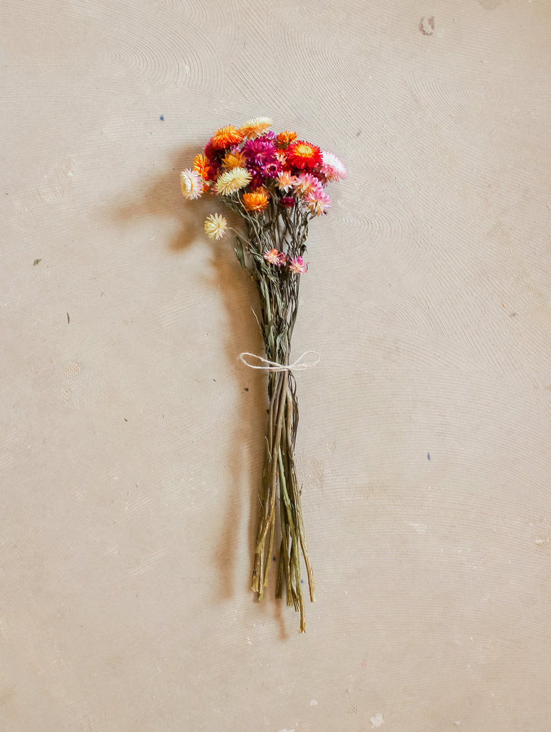 Gedroogde bos Helichrysum - Kleuren Mix - Droogbloemen