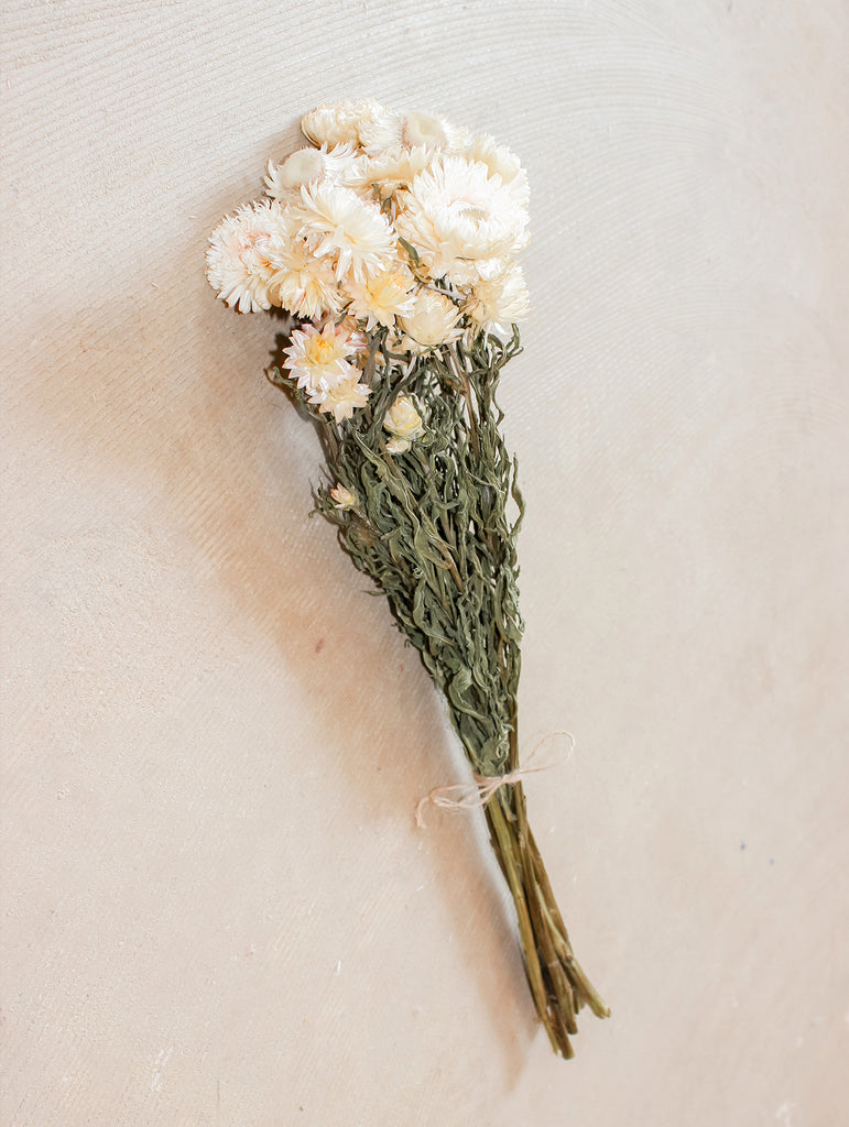 Gedroogde bos Helichrysum - wit - Droogbloemen