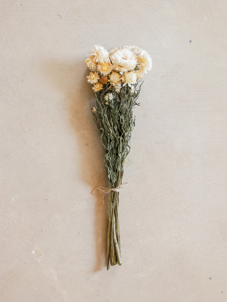 Gedroogde bos Helichrysum - wit - Droogbloemen