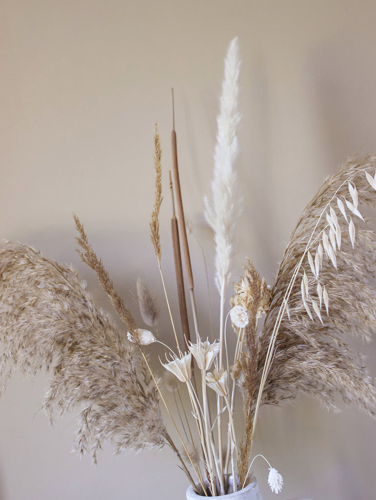 Droogbloemen boeket Neutrals pluimen beige