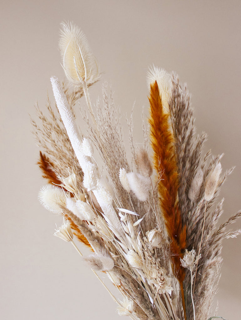 Droogboeket Natural spirit - Droogbloemen boeket Terracotta pampas pluimen neutrals - Veldboeket groot - Flowers to stay