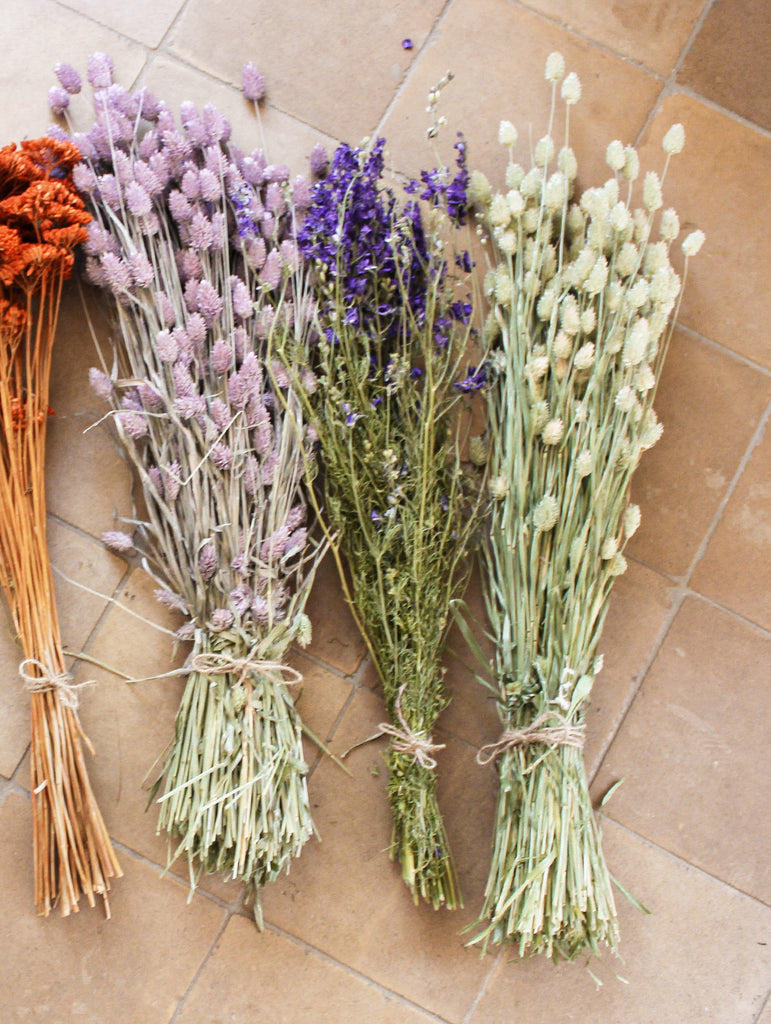 Gedroogde Bos Ridderspoor Paars - Droogbloemen