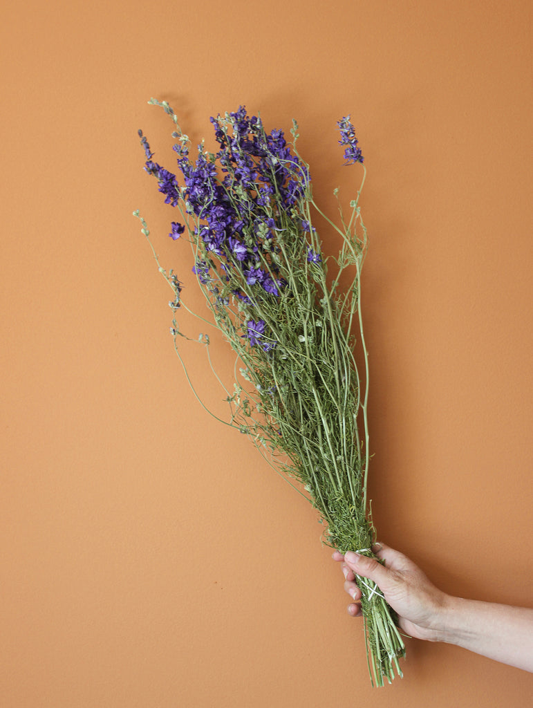 Gedroogde Bos Ridderspoor Paars - Droogbloemen