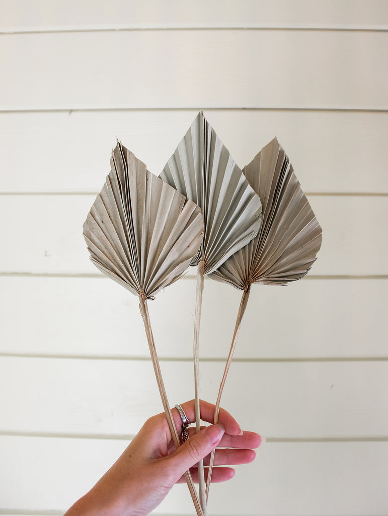 3 stuks gedroogde palmbladeren, natuurlijke gedroogde palmsperen, kleine gedroogde palmwaaier kleur palmsperen plant met stengel boho thuis, feest, bruiloft, muur, cake, decoratie, doe-het-zelf boeket 3 stuks gedroogde palmbladeren, natuurlijke gedroogde palmsperen, kleine gedroogde palmwaaier kleur palmsperen plant met stengel boho thuis, feest, bruiloft, muur, cake, decoratie, doe-het-zelf boeket