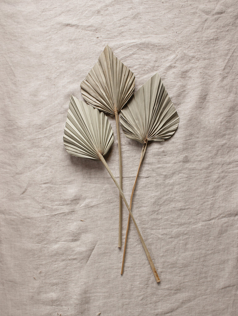 Gedroogde palmbladeren XS Naturel - Droogbloemen - Flowers to stay