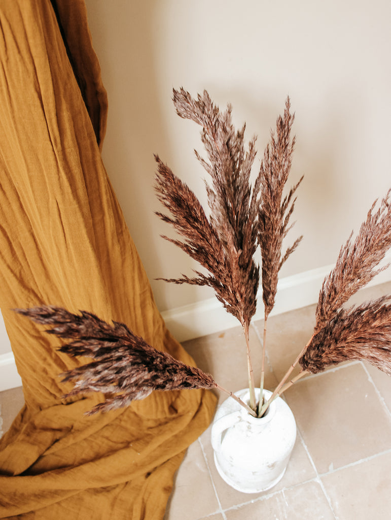 Gedroogde Pampas Pluimen Donkerbruin - Droogbloemen - Flowers to stay
