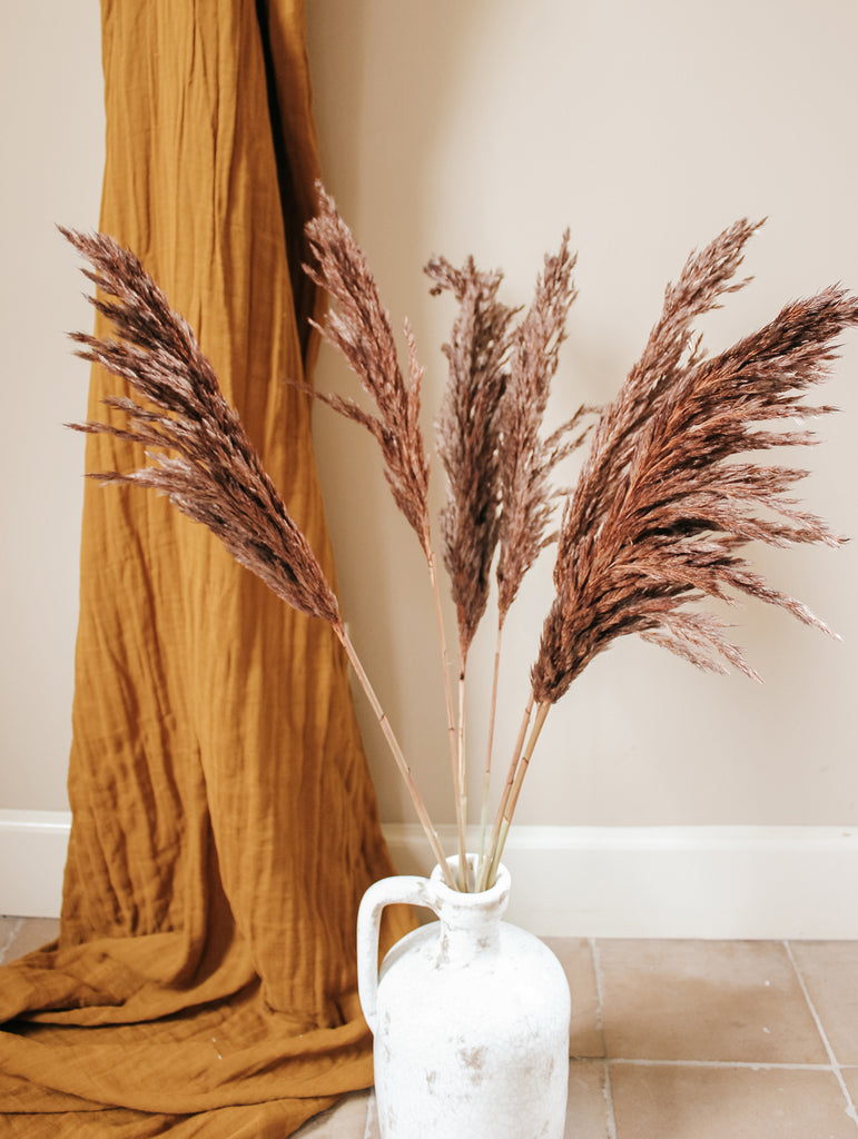 Gedroogde Pampas Pluimen Donkerbruin - Droogbloemen - Flowers to stay