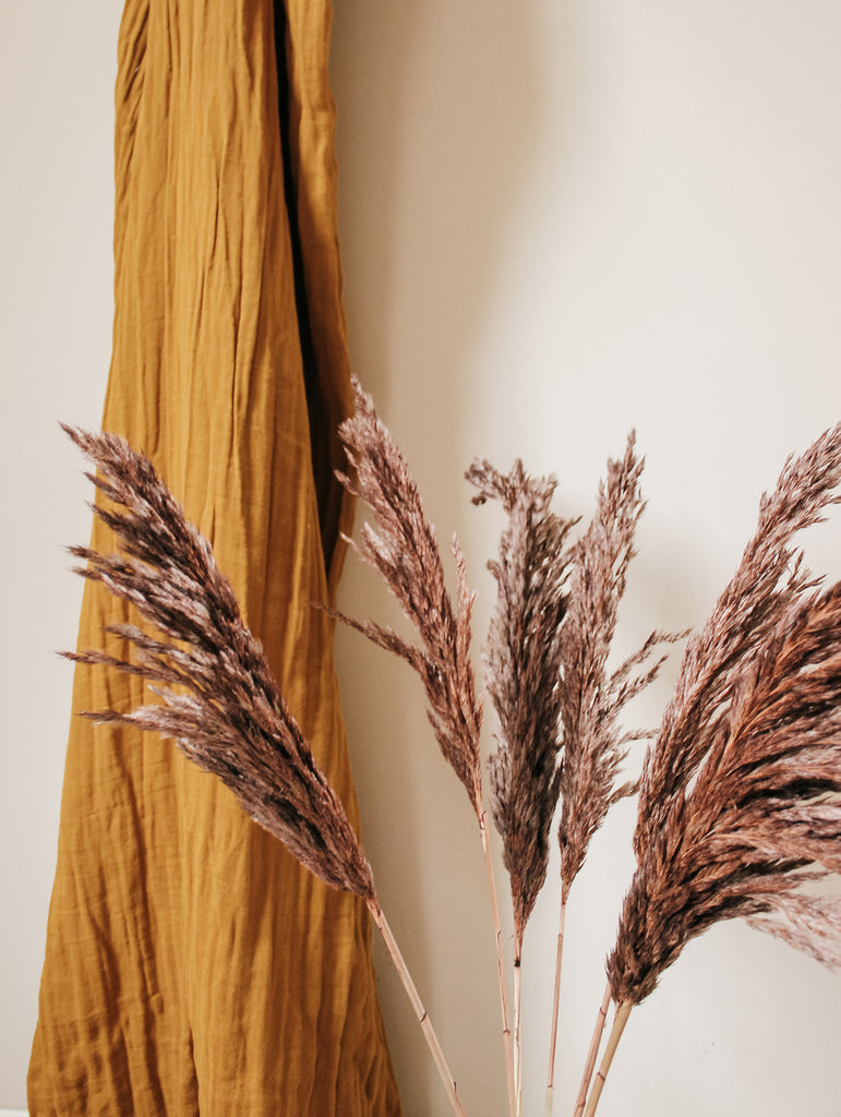 Gedroogde Pampas Pluimen Donkerbruin - Droogbloemen - Flowers to stay
