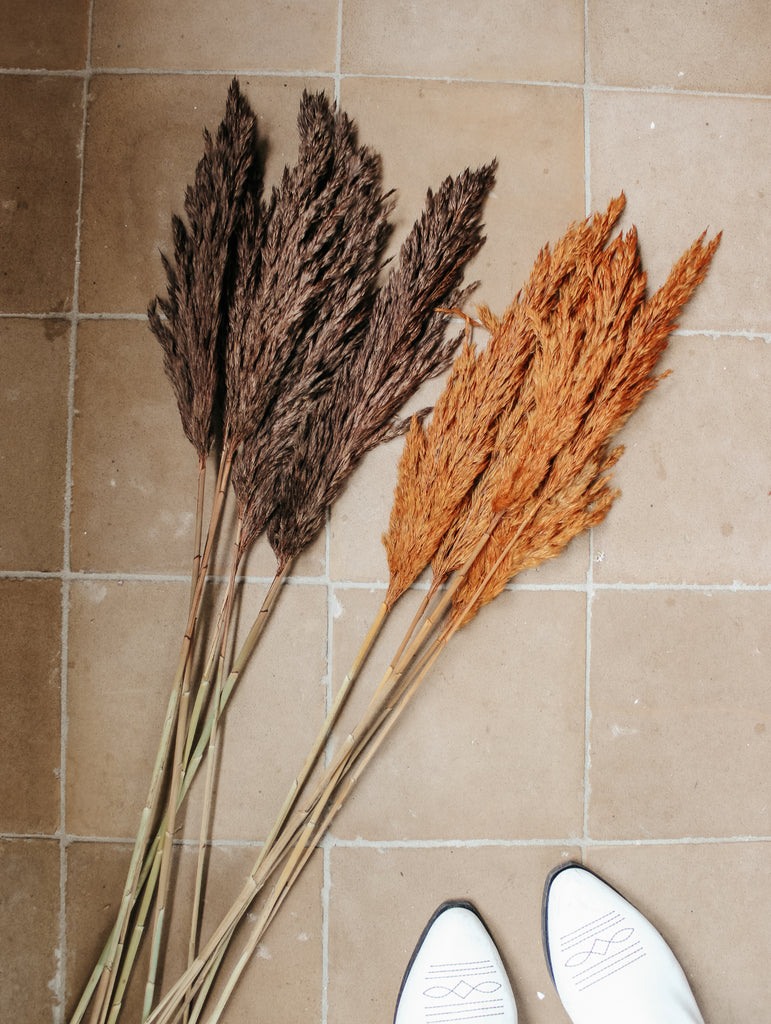 Gedroogde Pampas Pluimen Donkerbruin - Droogbloemen - Flowers to stay