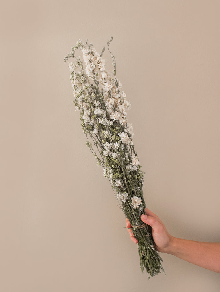 Gedroogde Bos Ridderspoor Naturel Wit - Droogbloemen