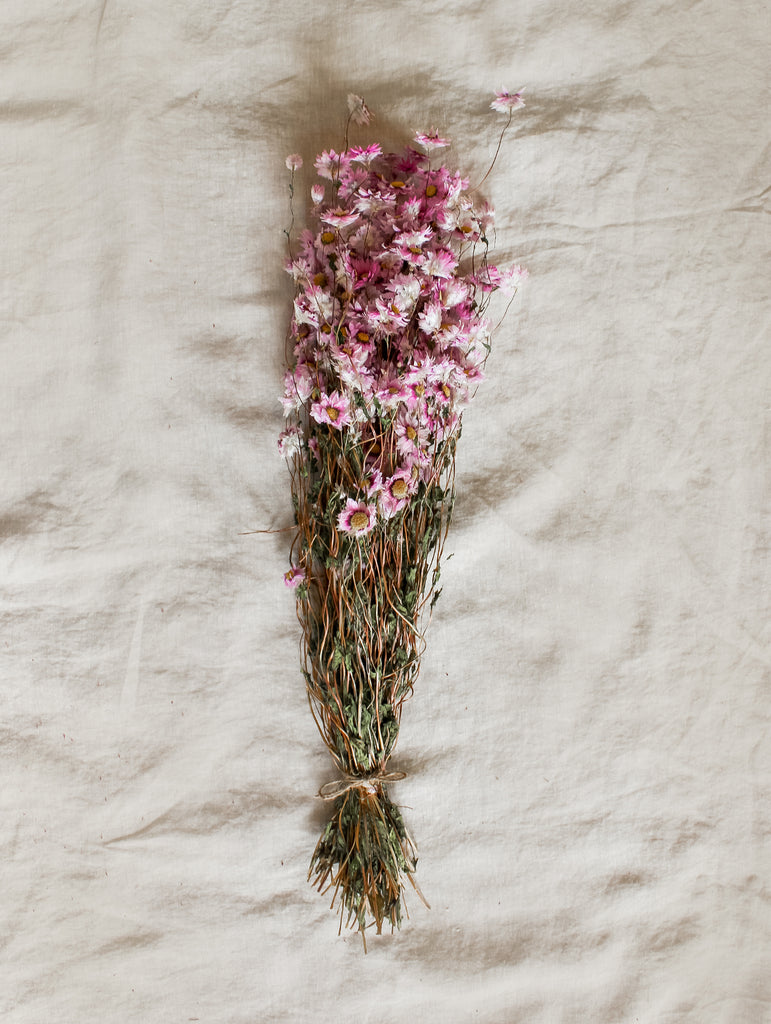 Gedroogde Bos Rodanthe Roze - Droogbloemen