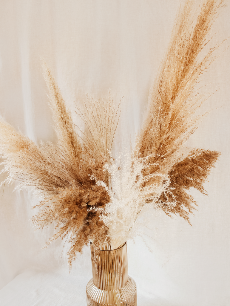 Pampas pluimen - Shop dé mooiste pluimen online | Flowers to stay