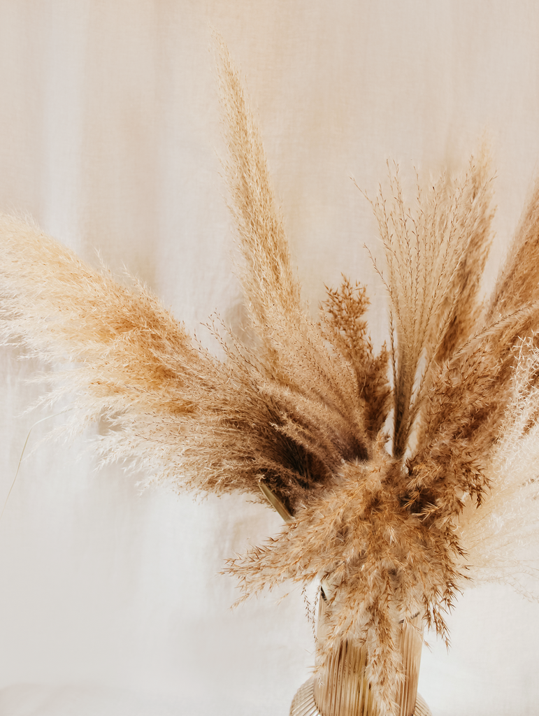 Droogbloemen boeket Pampas heaven - Extra groot Pampas pluimen boeket Neutrals - Droogboeketten