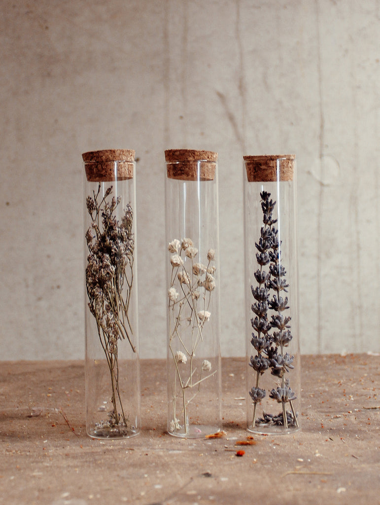 Lavender in a jar - XS