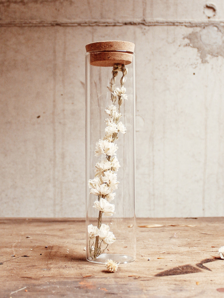 Droogbloemen in glas met een dop van kurk