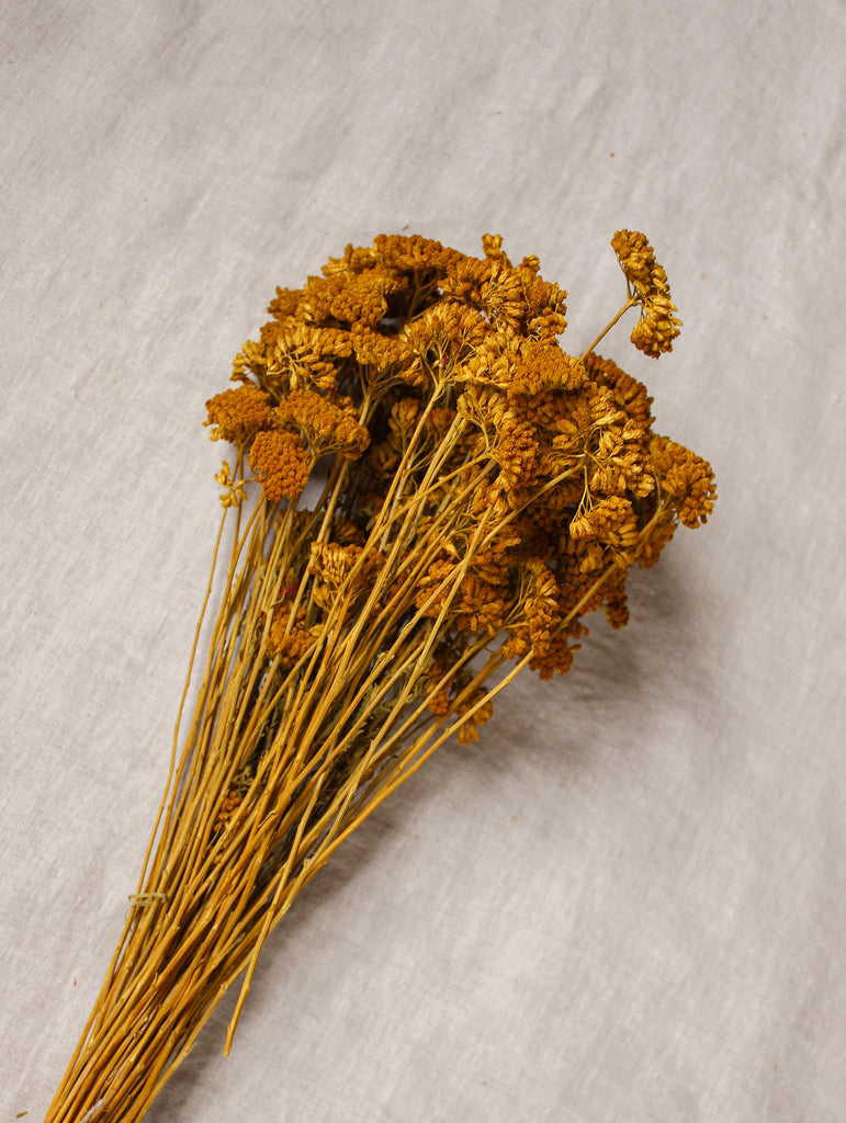 Gedroogde bos Achillea - okergeel - droogbloemen - flowers to stay - fts atelier details