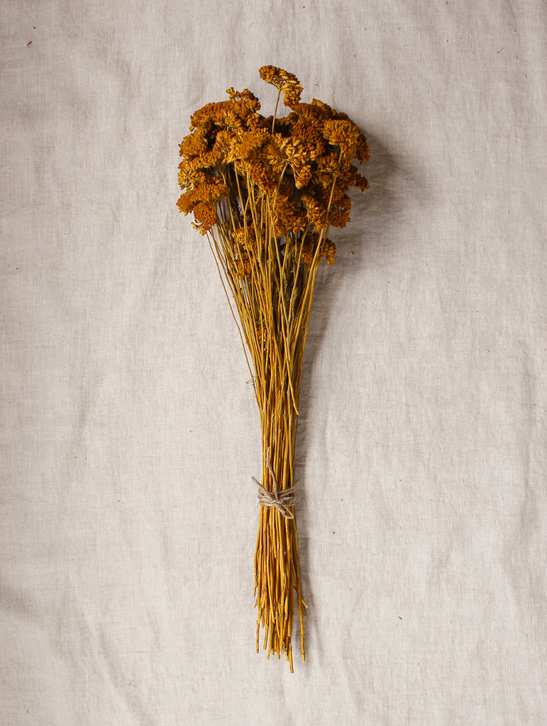 Gedroogde bos Achillea - okergeel - droogbloemen - flowers to stay - fts atelier
