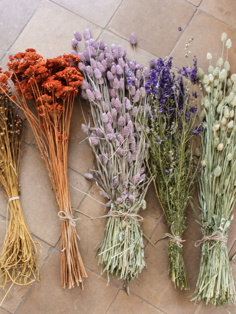 Gedroogde bos Phalaris - lila - droogbloemen online - fts atelier - flowers to stay  bosjes bloemen