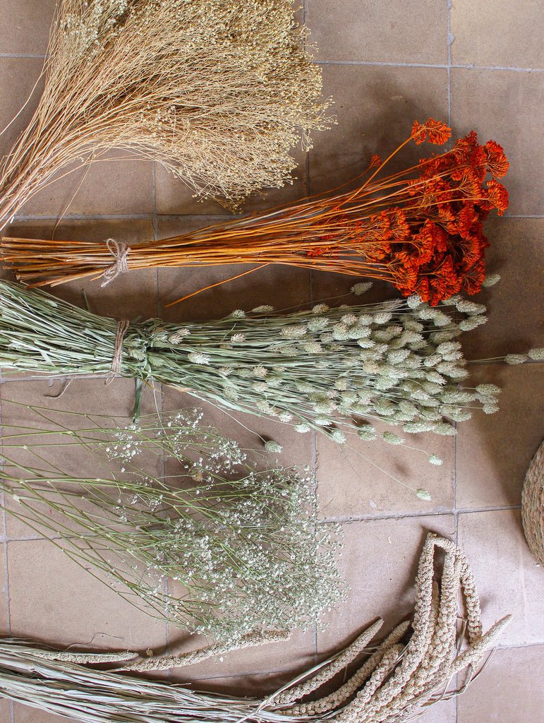 Gedroogde bos Phalaris - naturel - droogbloemen online - fts atelier - flowers to stay 